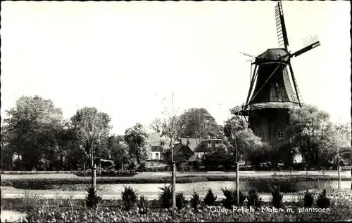 Ak Oude Pekela Groningen Niederlande, Molen met plantsoen