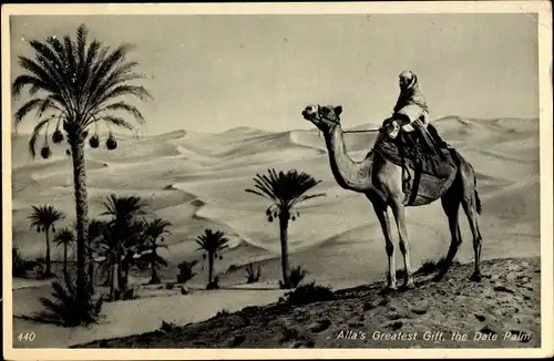 Ak Ägypten, Alla's Greatest Gilf, the Date Palm