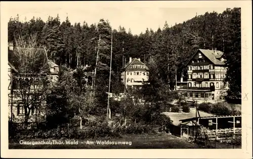 Ak Georgenthal in Thüringen, Am Waldsaumweg