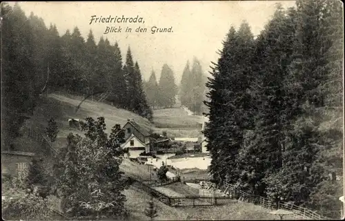 Ak Friedrichroda im Thüringer Wald, Blick in den Grund