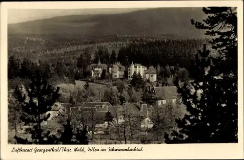 Ak Georgenthal Thüringen, Villen im Schwimmbachtal mit Umgebung