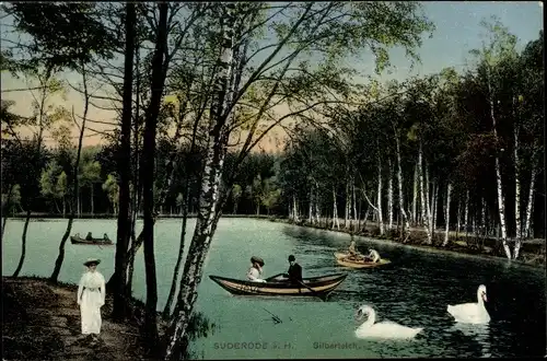 Ak Bad Suderode Quedlinburg im Harz, Silberteich, Ruderboote, Schwäne