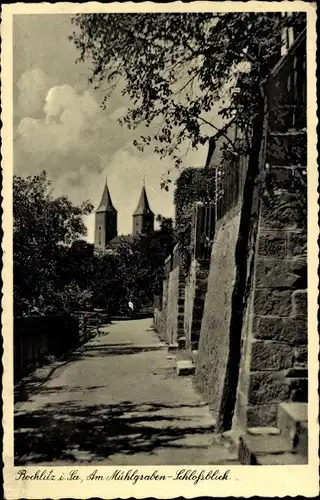 Ak Rochlitz an der Mulde Sachsen, Mühlgraben, Schlossblick