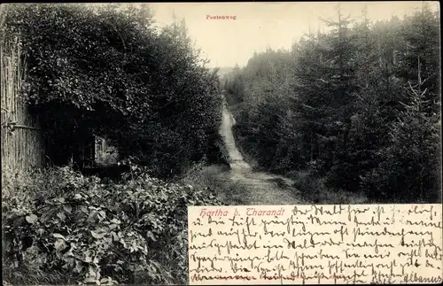 Ak Hartha Hintergersdorf Tharandt im Erzgebirge, Poetenweg, Waldpartie