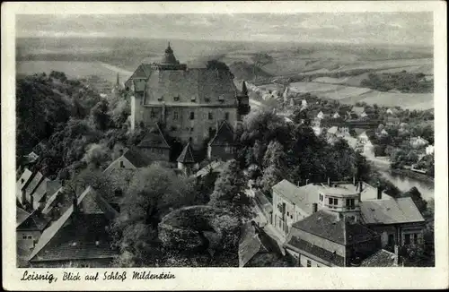 Ak Leisnig in Sachsen, Schloss Mildenstein, Teilansicht vom Ort