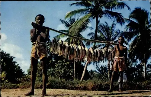 Ak Afrique en Couleurs, Retour de peche, Coming back from fishing