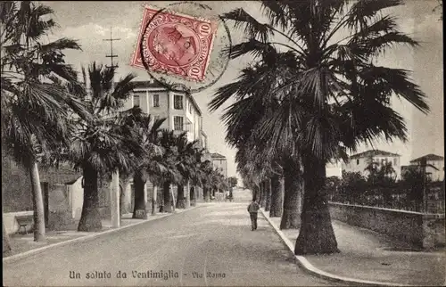 Ak Ventimiglia Liguria, Via Roma, Palmenallee