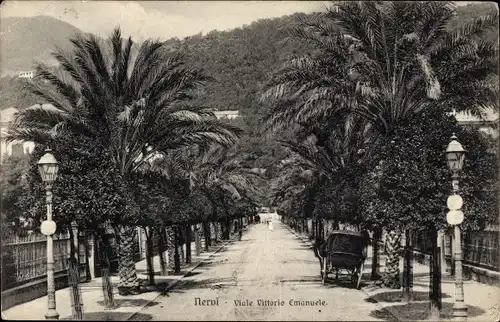 Ak Nervi Genova Genua Liguria, Viale Viktorio Emanuele
