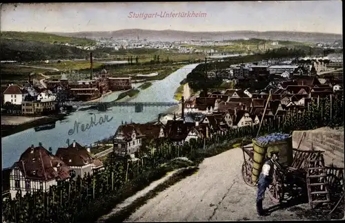 Ak Untertürkheim Stuttgart in Württemberg, Gesamtansicht, Weinlese