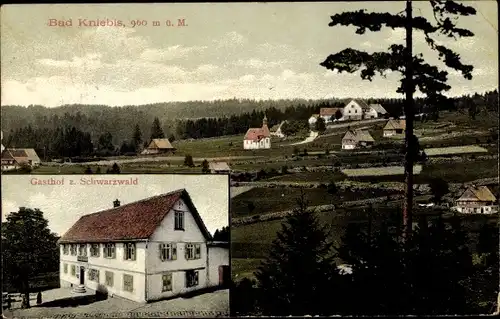 Ak Kniebis Freudenstadt im Schwarzwald, Totalansicht, Gasthof zum Schwarzwald