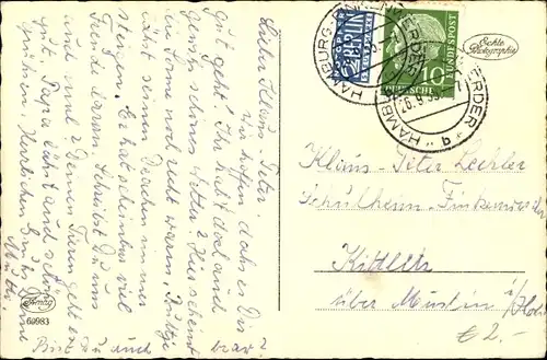 Ak Zwei Hunde, Terrier