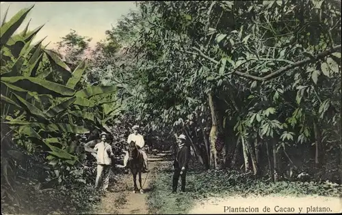 Ak Südamerika, Plantacion de Cacao y platano