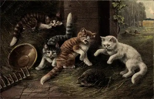 Ak Katzen haben einen Igel gefunden, Stroh, Harke, Bauernhof