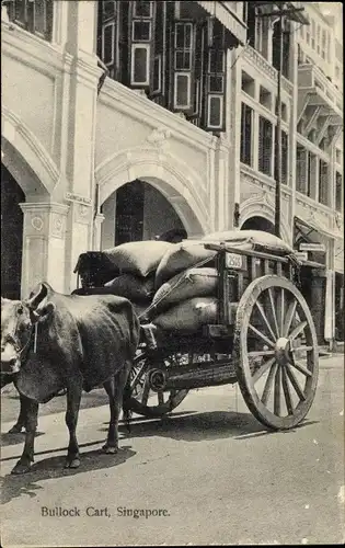 Ak Singapore Singapur, Rinderkarren, Bullock Cart