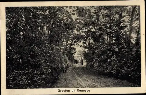 Ak Renesse Schouwen-Duiveland Zeeland, Weg zwischen den Bäumen