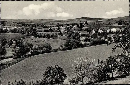 Ak Hembsen Brakel in Westfalen, Panorama