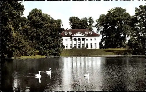 Ak Hofgeismar in Nordhessen, Schloss am See, Schwäne