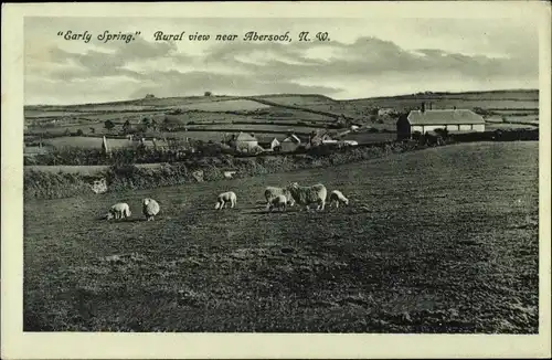 Ak Abersoch Wales, Landschaft, Schafe