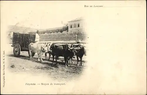 Ak Rio de Janeiro Brasilien, Fazenda, Moyen de transport, Rinderfuhrwerk