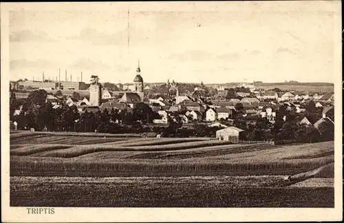 Ak Triptis in Thüringen, Panorama