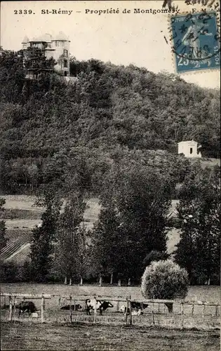 Ak Saint Rémy les Chevreuse Yvelines, Propriété de Montgomery