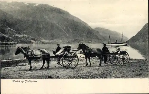 Ak Norwegen, Kariol eg Stolkjoerre, Kutschen