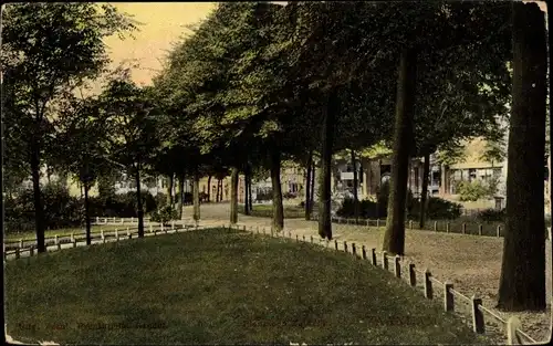 Ak Zaandam Zaanstad Nordholland, Plantsoen Zuiddijk