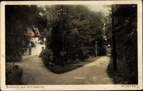 Ak Nunspeet Gelderland, Molenweg met Bunterhoek