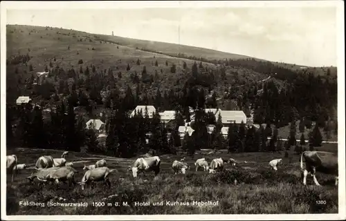 Ak Feldberg im Schwarzwald, Hotel und Kurhaus Hebelhof