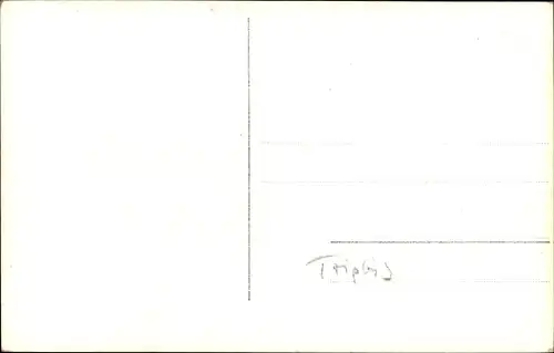 Ak Triptis in Thüringen, Stadt aus der Vogelschau