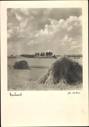 Foto Ak Erntezeit, Strohgarben auf einem Getreidefeld