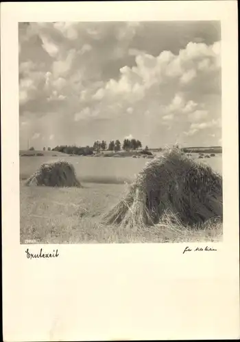 Foto Ak Erntezeit, Strohgarben auf einem Getreidefeld