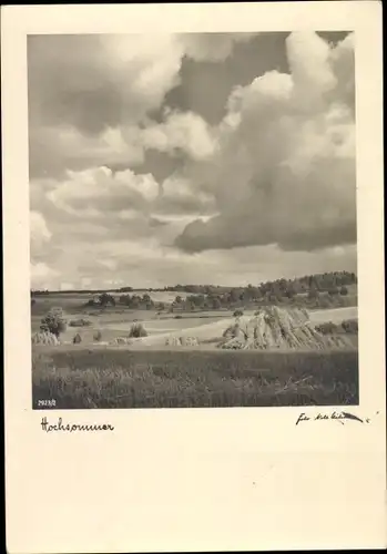 Foto Ak Hochsommer, Strohgarben auf einem Getreidefeld