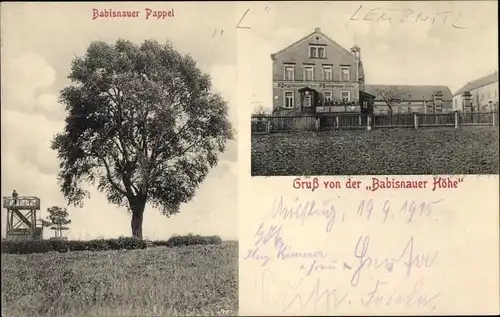 Ak Babisnau Kreischa bei Dresden, Babisnauer Höhe, Restaurant, Babisnauer Pappel