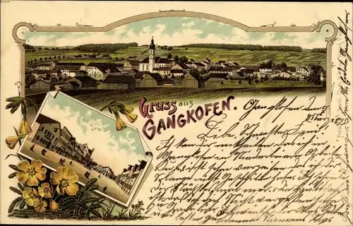 Litho Gangkofen in Niederbayern, Gesamtansicht, Straßenpartie, Gelbe Blumen