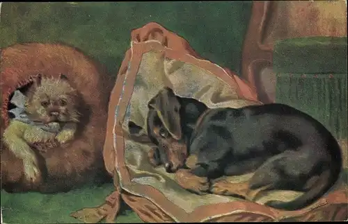 Ak Dackel und kleiner Hund