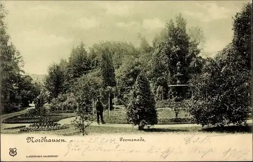 Ak Nordhausen am Harz, Promenade, Parkpartie