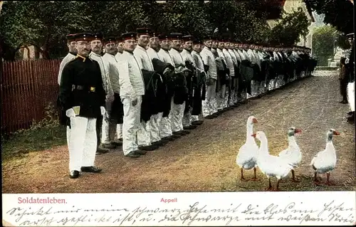 Ak Appell, Deutsche Soldaten in stehen in Reih und Glied, Gänse, I. WK