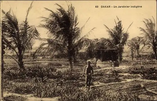 Ak Dakar Senegal, Un Jardinier indigène