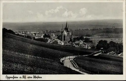 Ak Oppenheim am Oberrhein, Panorama