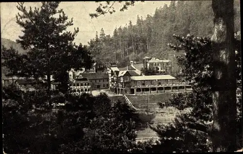 Ak Schwarzburg in Thüringen, Nöllers Hotel, Kurhaus Thüringer Hof