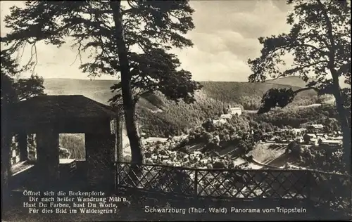 Ak Schwarzburg in Thüringen, Panorama vom Trippstein, Gedicht