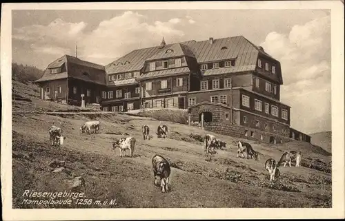 Ak Karpacz Krummhübel Riesengebirge Schlesien, Hampelbaude, Schronisko Strzecha Akademicka