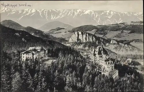 Ak Semmering in Niederösterreich, Südbahnhotel mit Waldhof und Rax.
