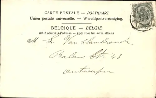 Ak Tamise Temse Temsche Ostflandern, Panorama