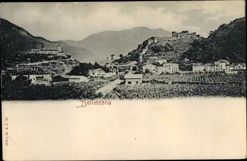 Ak Bellinzona Kanton Tessin, Panorama