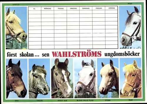Stundenplan Wahlströms Jugendbücher, Dänemark, Pferde, Pferderassen um 1980