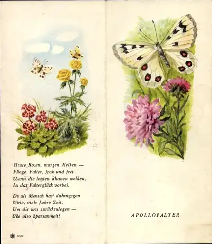 Stundenplan Neue Sparkasse, Hamburg Ferdinandstraße 5, Schmetterling Apollofalter um 1960