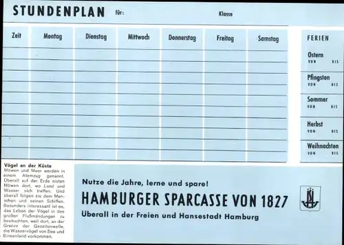 Stundenplan Neue Sparkasse Hamburg, Vögel an der Küste Lachmöve Silbermöve um 1960