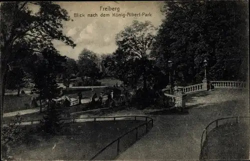 Ak Freiberg in Sachsen, Blick nach dem König-Albert-Park